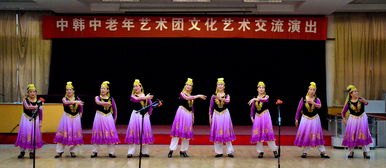 中韓中老年藝術(shù)團文化藝術(shù)交流演出活動紀(jì)實