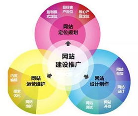 網站建設時如何進行seo優化推廣設計