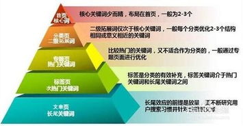 網站怎么更好的優化