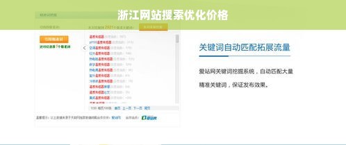 浙江網站搜索優化價格