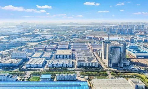 企業輕裝上陣 上半年湖州減稅降費政策惠及市場主體超27萬戶 次